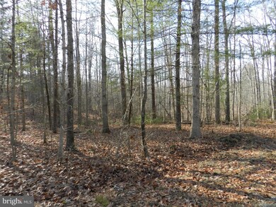 2 Hart Ct, Culpeper, VA 22701 - photo 3