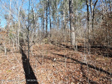 0 Sipsey Overlook Rd unit 21-307, Double Springs, AL 35553 - photo 7