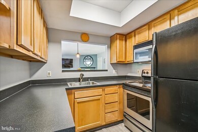 8011 Greenspring Way unit 8011E, Owings Mills, MD 21117 - photo 5