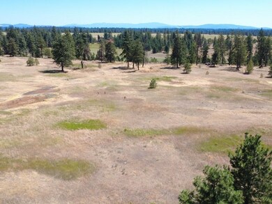 00 N Hayford Rd, Spokane, WA 99224 - photo 6