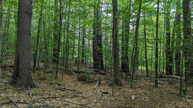 00 Nh Route 16a, Bartlett, NH 03845 - photo 4