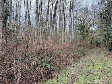 2 XX Scenic Dr NE, Poulsbo, WA 98370 - photo 2