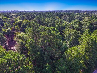 28400 Sweetgum Rd, Magnolia, TX 77354 - photo 2