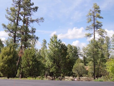 Beautiful Mature Trees