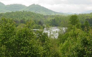 Additional View