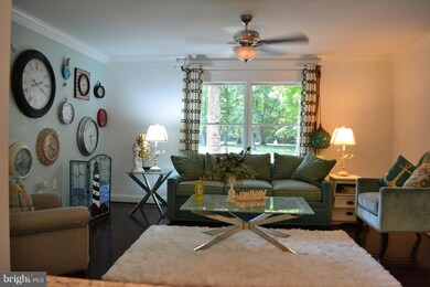 1020 Coon Box Rd, Centreville, MD 21617 - photo 2