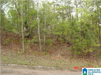 000 Timothy Dr, Oxford, AL 36203 - photo 6