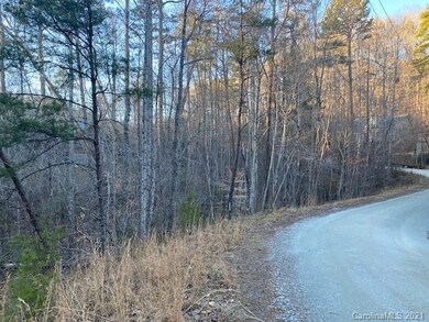 0000 Mallard Rd unit 357, Lake Lure, NC 28746 - photo 7