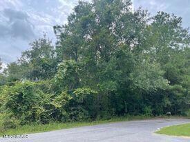 3.5 Acres Ben Rogers Rd, Lucedale, MS 39452 - photo 3