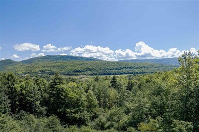 522 Read Farm Ln, Dorset, VT 05253 - photo 5