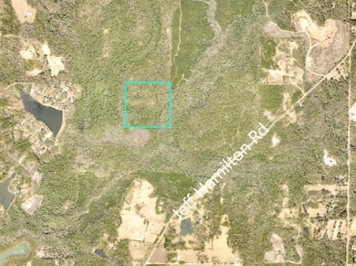 0 Jeff Hamilton Rd unit 7613918, Mobile, AL 36695 - photo 2