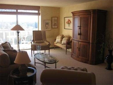 Imperial Towers unit 709, Chestnut Hill, MA 02467 - photo 3