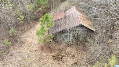 00 Kent St, Phil Campbell, AL 35581 - photo 5