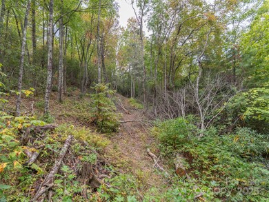 00 Keull Rd, Waynesville, NC 28785 - photo 5