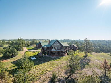 11431 Wrangler Rd, Custer, SD 57730 - photo 2