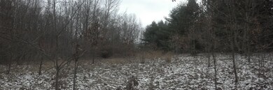 Panarama
