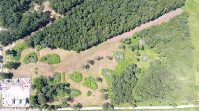 TBD James Rd, Charleston, AR 72933 - photo 3