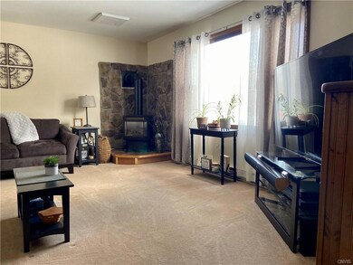 Living Room: Detail of the gas stove/fireplace and