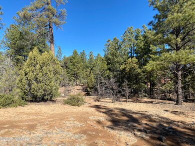 1680 S Iris Ln, Show Low, AZ 85901 - photo 3