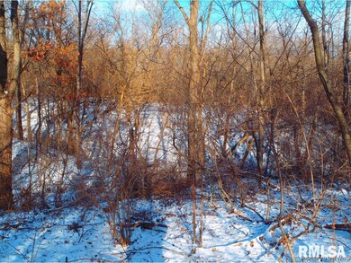 0 Gridley Rd, Virginia, IL 62691 - photo 4