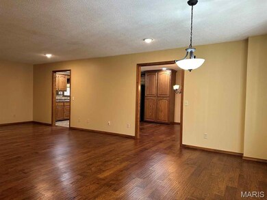 17264 E Cedar Hills Dr, Dexter, MO 63841 - photo 3