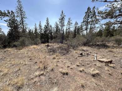 0 Chicken Hawk unit 27 220209930, Bonanza, OR 97623 - photo 3