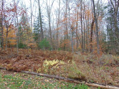 000 Old County Rd, Waterford, VT 05848 - photo 2