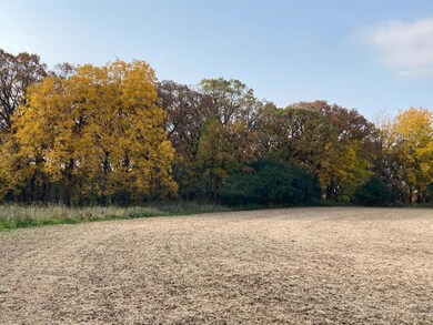 3857 Mayo Ridge Ln SW, Rochester, MN 55902 - photo 7