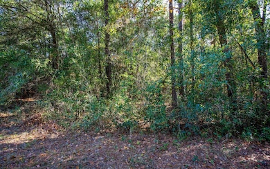 00 177th Ln, Live Oak, FL 32060 - photo 5