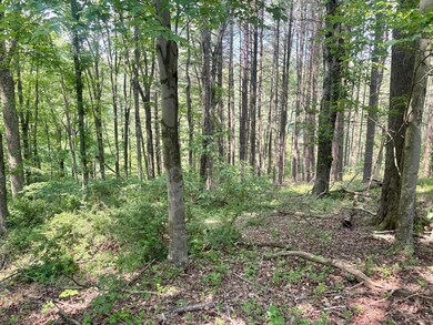 546 Edgehill Cir, Logan, OH 43138 - photo 6