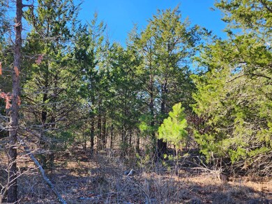 000 Oklahoma 63, Talihina, OK 74571 - photo 3