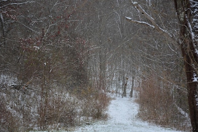 To Be Determine Sand Fork Rd, Roanoke, WV 26447 - photo 2