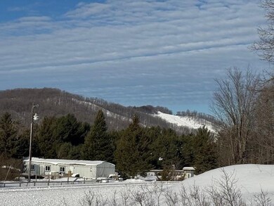 TBD S Us 131, Boyne Falls, MI 49713 - photo 7