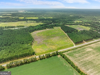 APPRX 34.2 ACRE Highway 301 N, Statesboro, GA 30458 - photo 3