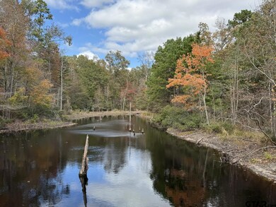 TBD Stag Rd, Gilmer, TX 75644 - photo 5