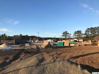 100 Hampton Ridge Rd unit Lot 1, Conway, SC 29527 - photo 3