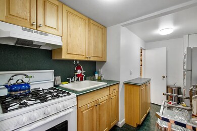 The Beekman Condominium unit 1, New York, NY 10065 - photo 5