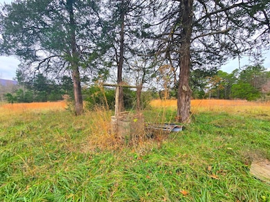 20288 State Highway 63, Hogen, OK 74939 - photo 5