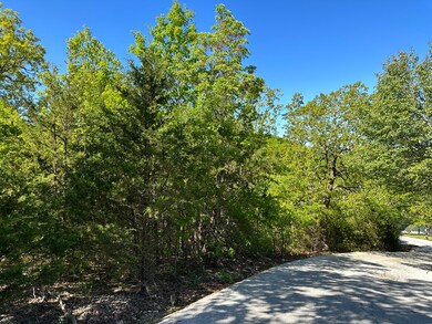 Lots 1-3 Olear'Y Dr, Kimberling City, MO 65686 - photo 7