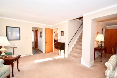 Hardwood floors under cream carpeting