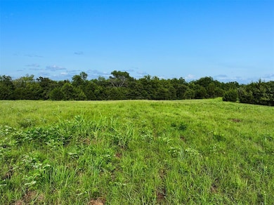 View of local wilderness