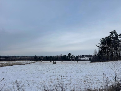 XXX 135th Avenue Ave, Turtle Lake, WI 54889 - photo 5