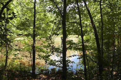 414 Laurel Falls Cove, Eads, TN 38028 - photo 2