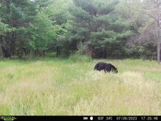 8321 Dragonfly Rd, Warrens, WI 54666 - photo 7