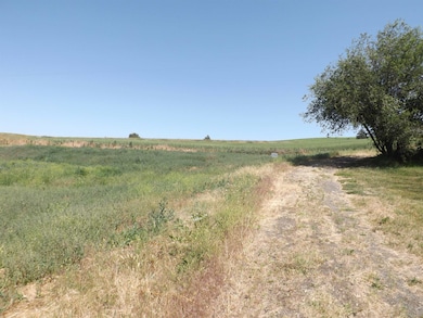 xxx E A St, Rosalia, WA 99170 - photo 4