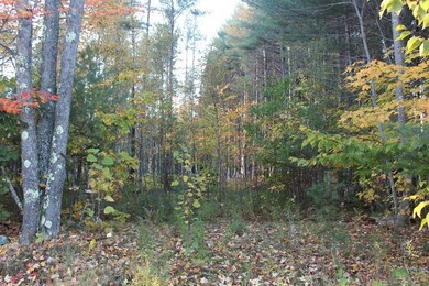 M11 L32-4 W Mills Rd, Anson, ME 04911 - photo 4