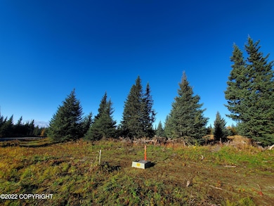 67618 Shavila Rd, Ninilchik, AK 99639 - photo 4