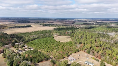 Vacant Cox Rd, Quincy, FL 32351 - photo 5