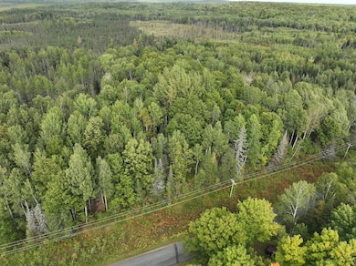 0 Dream Lake Rd unit LotWP002, Tipler, WI 54542 - photo 6