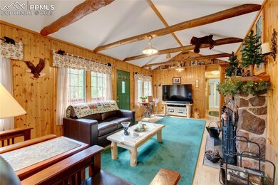 9615 Mountain Rd, Cascade, CO 80809 - photo 6